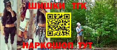 стаф Нальчик
