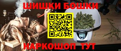 МДПВ Можга
