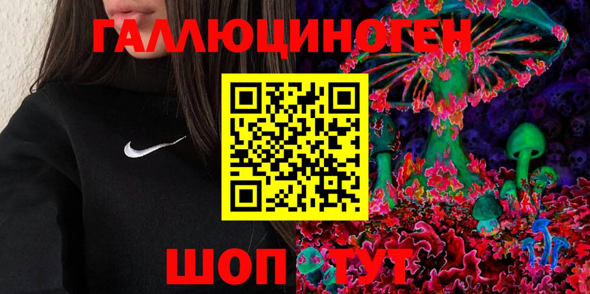 Галлюциногенные грибы мицелий  Псилоцибиновые грибы прущие грибы  Шали  Вход с VPN 
