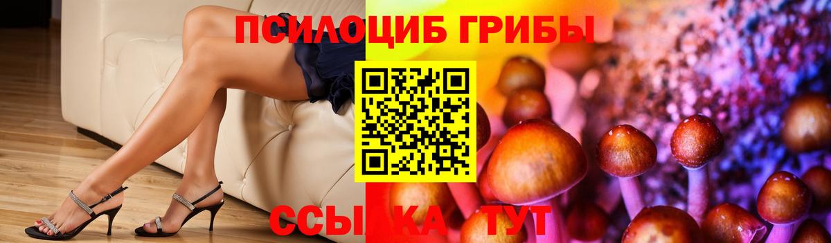 Псилоцибиновые грибы мицелий Шали